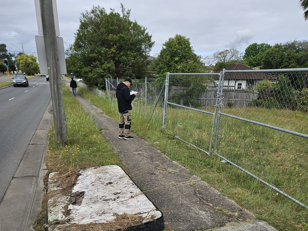 Director Steven Shim conducting an on-site assessment in Sydney